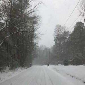 Meet your Posher, Fiona